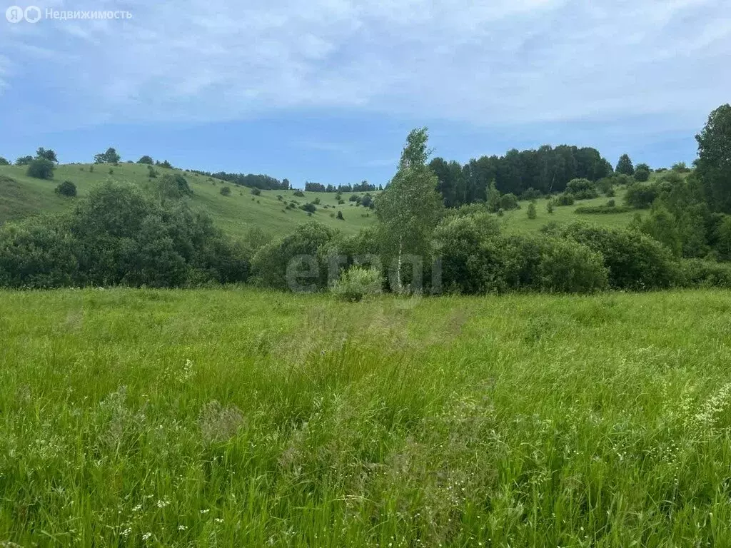 Участок в Майминский район, село Кызыл-Озек (13.85 м) - Фото 1