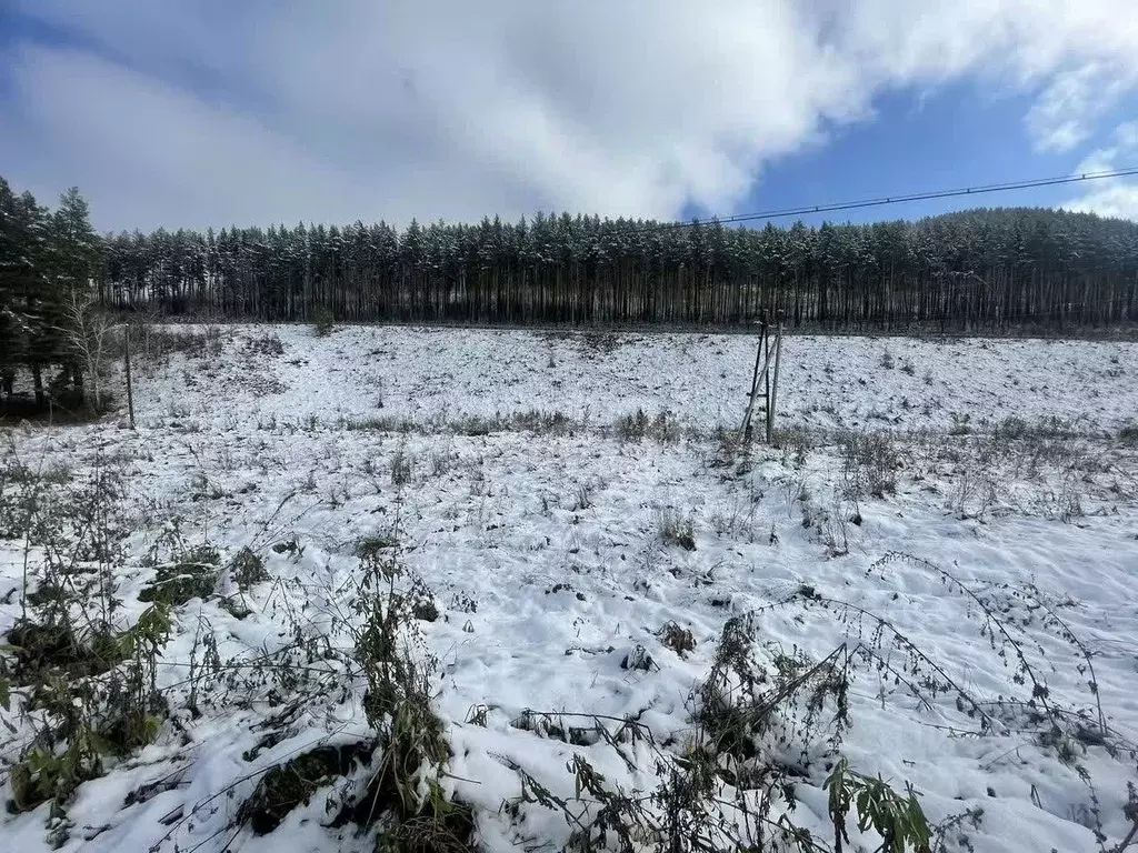 Участок в Алтайский край, Алтайский район, с. Нижнекаянча ул. ... - Фото 1