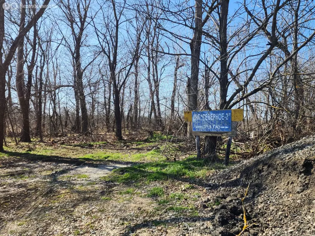 Участок в Ставрополь, садовое товарищество Северное-2, 126 (6.02 м) - Фото 2