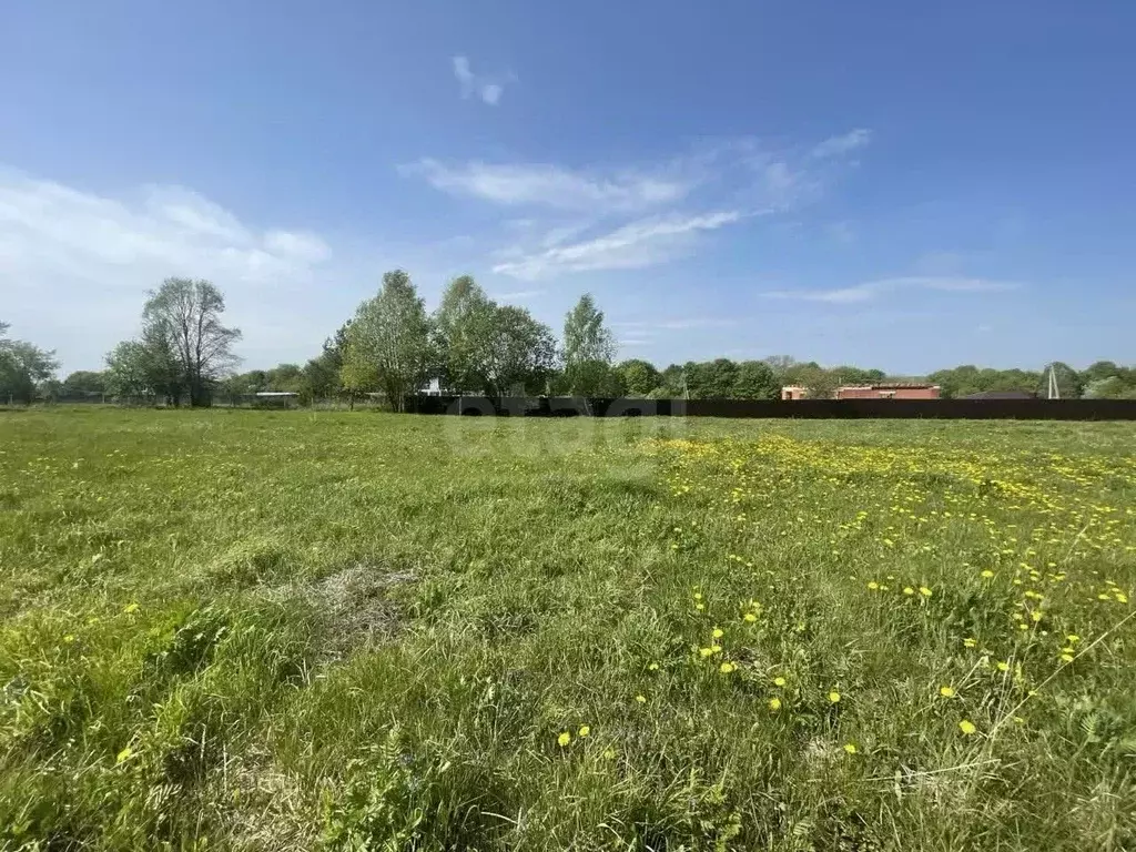 Участок в Калужская область, Калуга городской округ, д. Андреевское ... - Фото 0