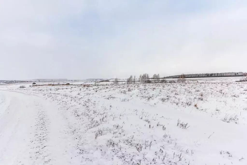 Участок в Новосибирская область, Искитим  (1990.0 сот.) - Фото 0