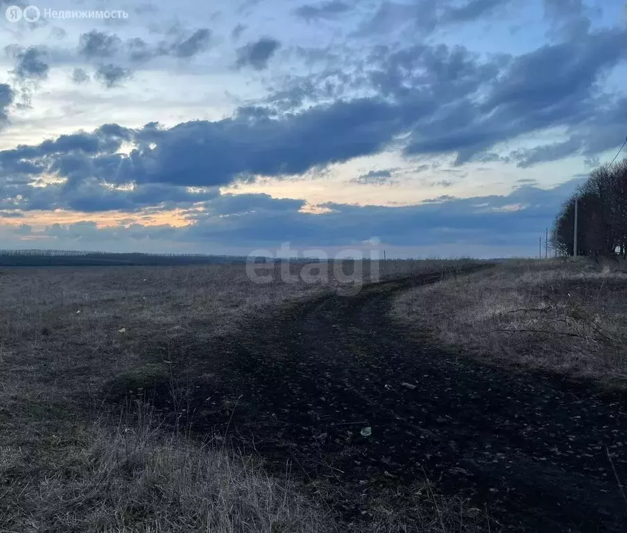 Участок в Чернский район, сельское поселение Северное, деревня Поповка ... - Фото 2