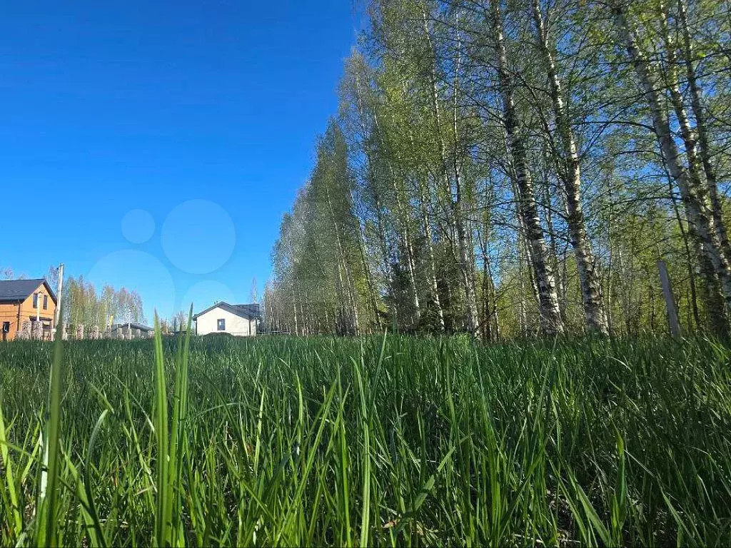 Участок 9,5 сот. (ИЖС) - Фото 1