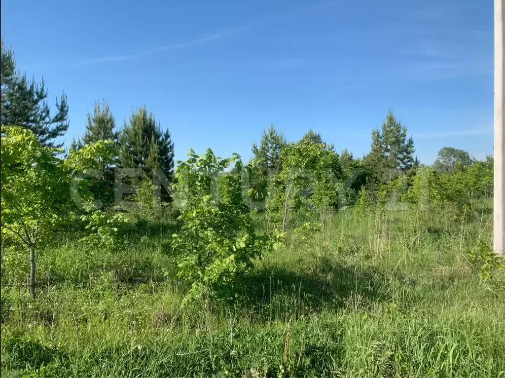 Участок в Башкортостан, Иглинский район, Акбердинский сельсовет, ... - Фото 1