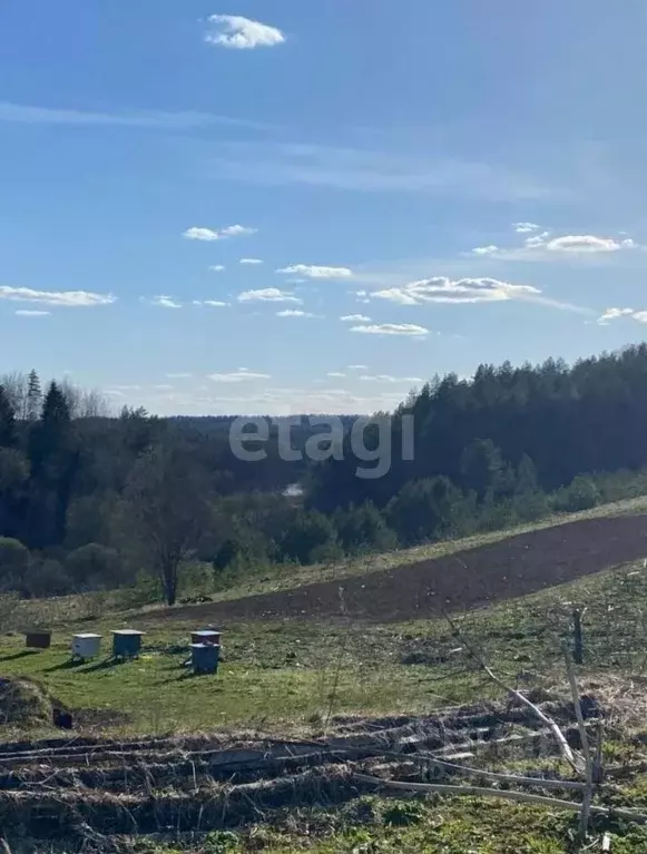 Дом в Псковская область, Палкинская волость, д. Бенево  (15 м) - Фото 1