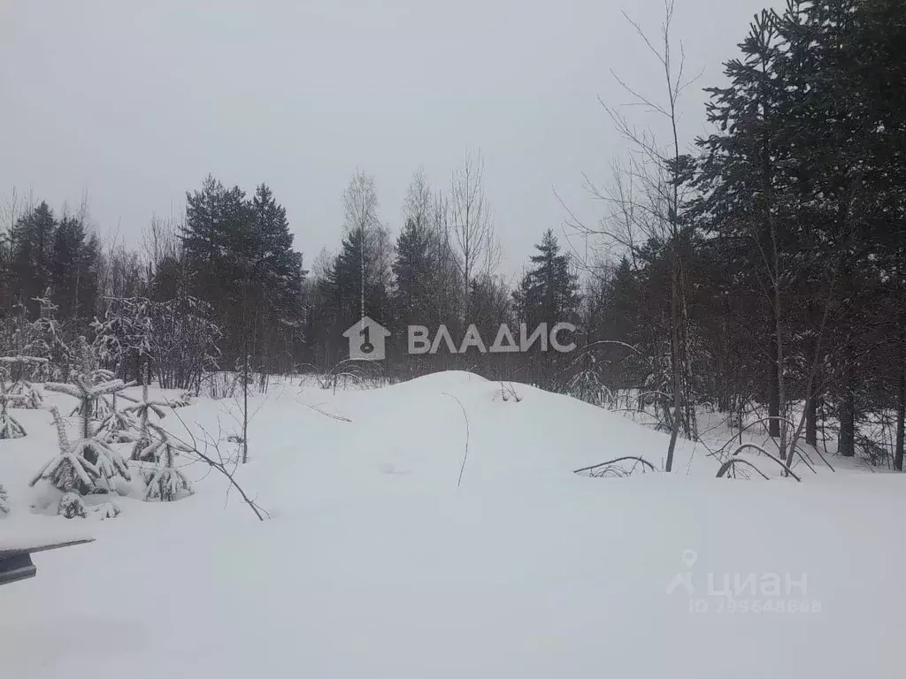 Участок в Карелия, Прионежский район, Деревянское с/пос, д. Педасельга ... - Фото 1