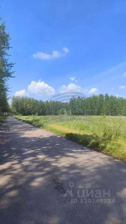 Участок в Воронежская область, Новоусманский район, Усманское 1-е ... - Фото 2