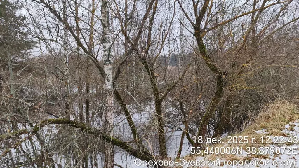 Участок в Московская область, Орехово-Зуевский городской округ, д. ... - Фото 2