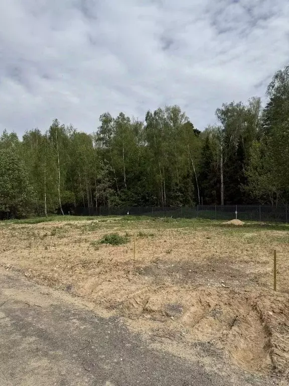 Участок в Московская область, Мытищи городской округ, пос. Трудовая ... - Фото 1