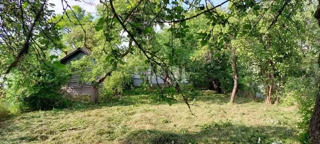 Участок в Калининградская область, Калининград Южный СНТ,  (3.6 сот.) - Фото 0