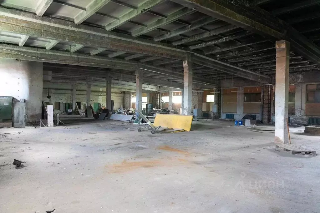 Торговая площадь в Смоленская область, Ярцево ул. Максима Горького, ... - Фото 2