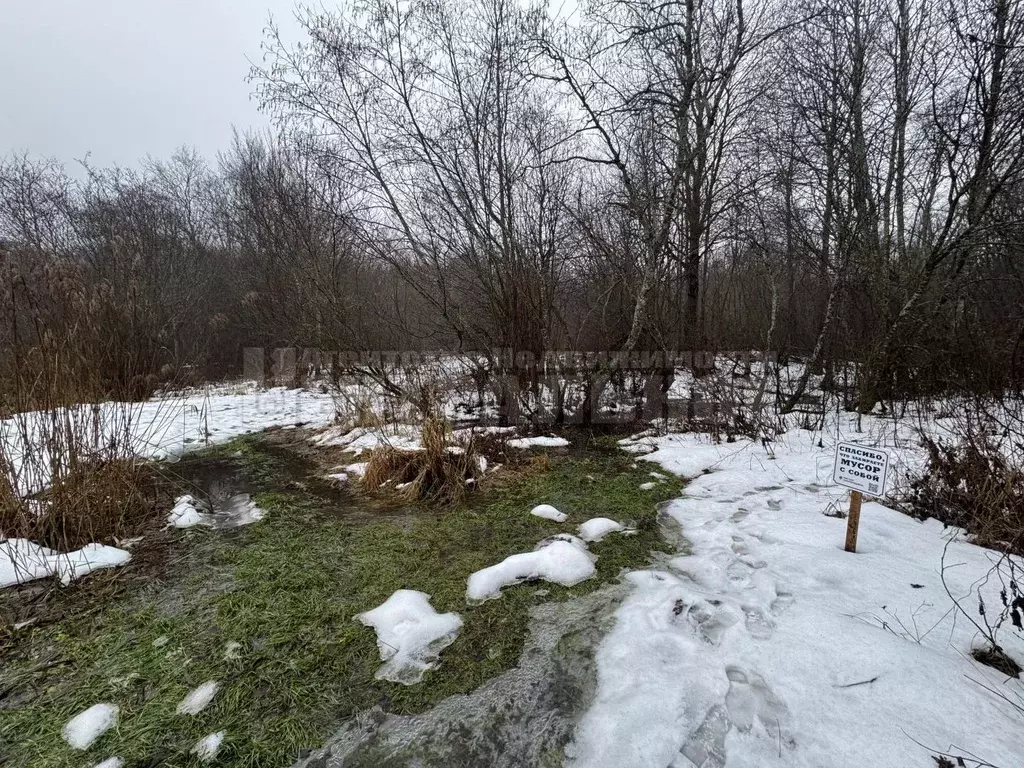 Участок в Смоленская область, Смоленский муниципальный округ, ... - Фото 1