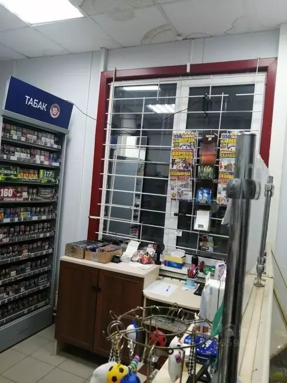 Торговая площадь в Кировская область, Киров ул. Ленина, 15 (22 м) - Фото 1