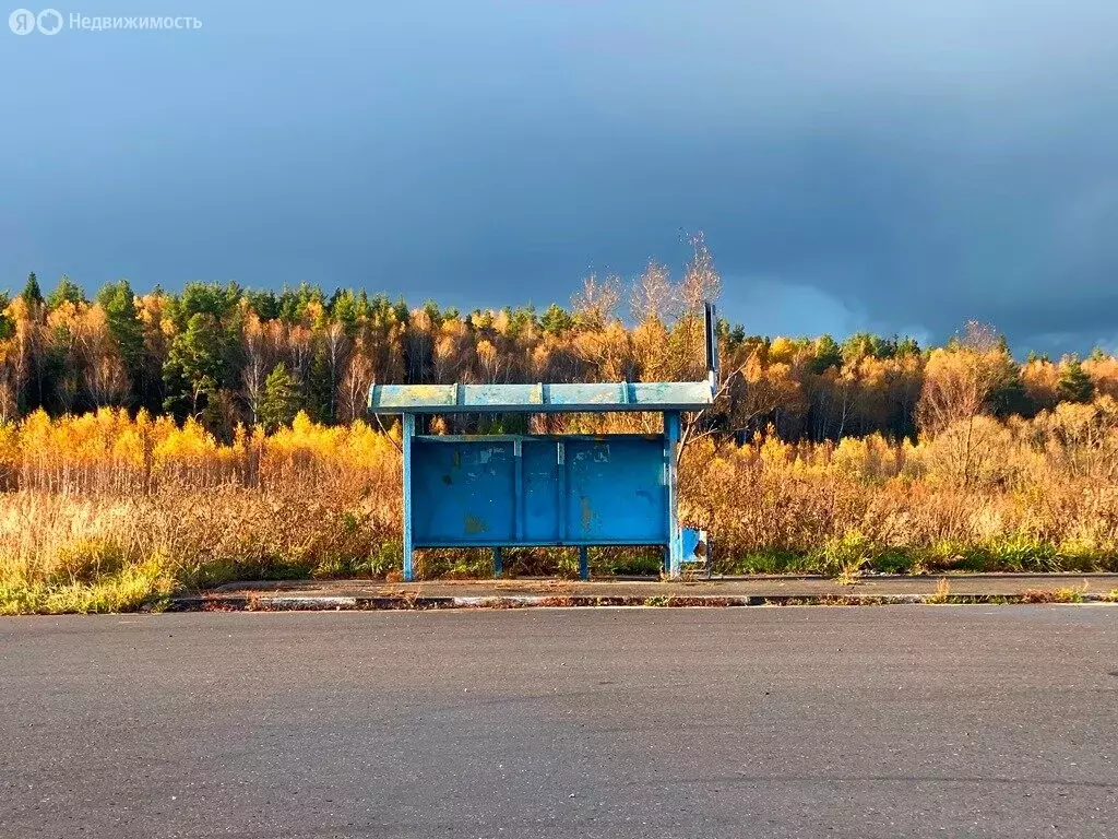 Дом в Московская область, городской округ Егорьевск, деревня Ларинская ... - Фото 0