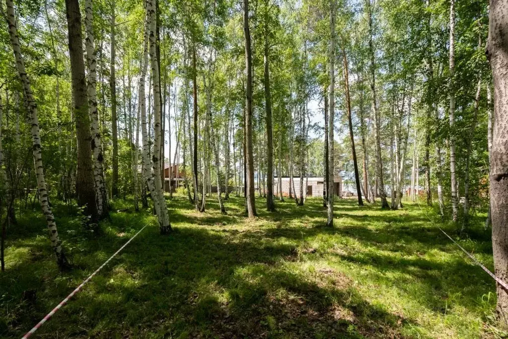 Участок в Иркутская область, Иркутский муниципальный округ, Молодость ... - Фото 0