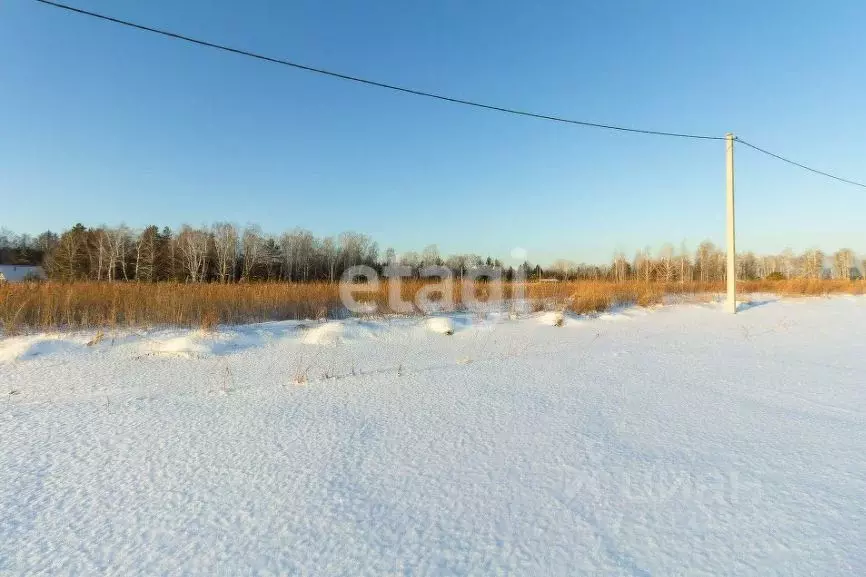 Участок в Тюменская область, Тюменский район, с. Каменка  (7.38 сот.) - Фото 0