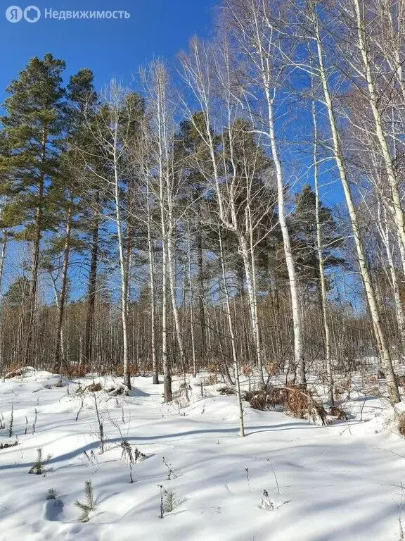 Участок в посёлок Новоснежная, улица Ленина (10.7 м) - Фото 2