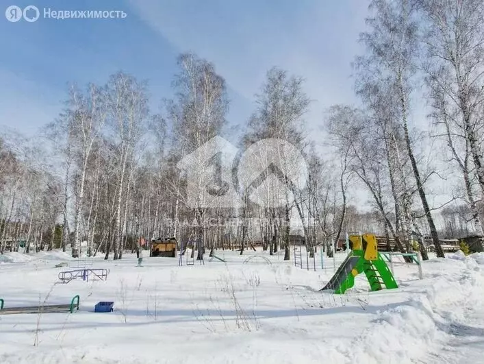 Участок в Новосибирский район, Кудряшовский сельсовет, посёлок ... - Фото 1