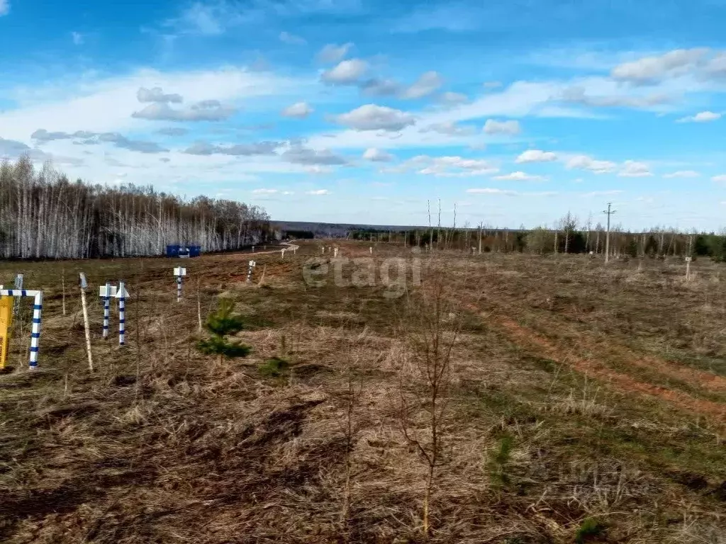 Участок в Нижегородская область, Богородский муниципальный округ, д. ... - Фото 1