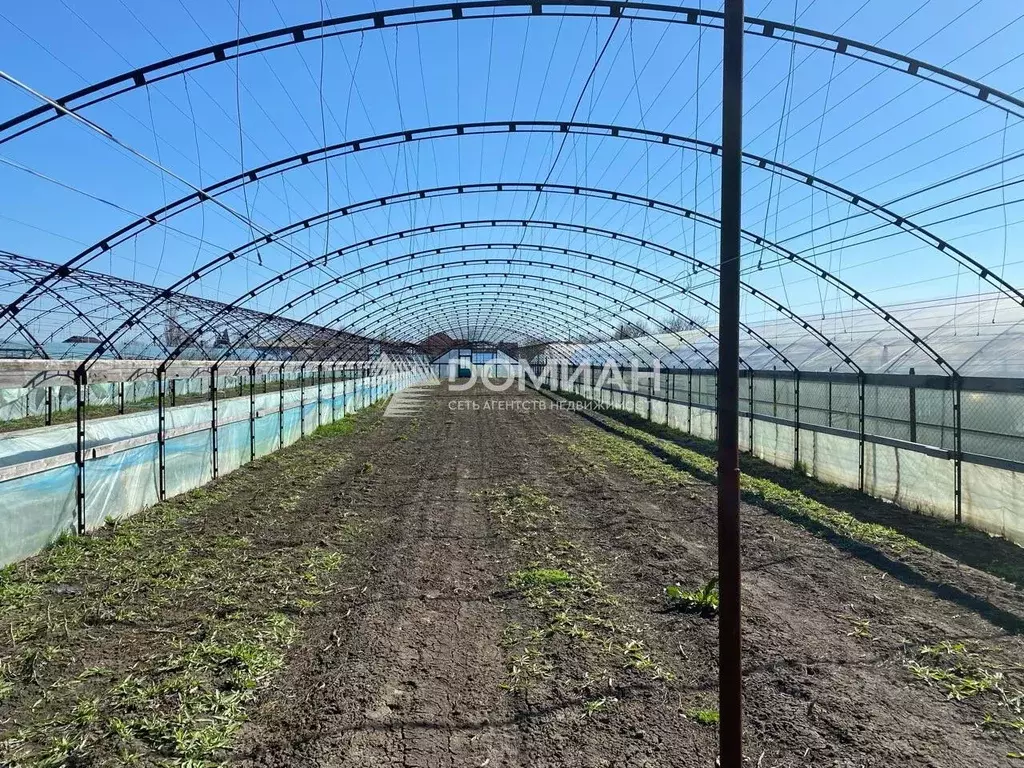 Дом в Ростовская область, Октябрьский район, Кривянское с/пос, ... - Фото 2