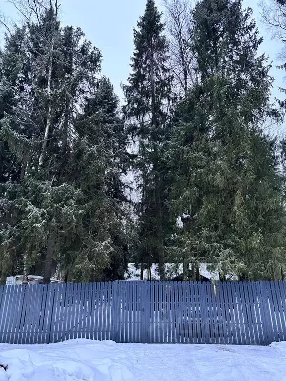 Дом в Московская область, Пушкинский городской округ, д. Могильцы, ... - Фото 0