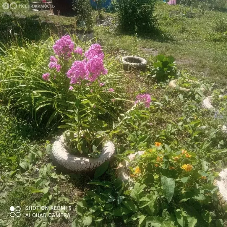 Участок в Челябинск, СНТ Металлург, квартал 3-й Участок, 7-я улица, ... - Фото 2