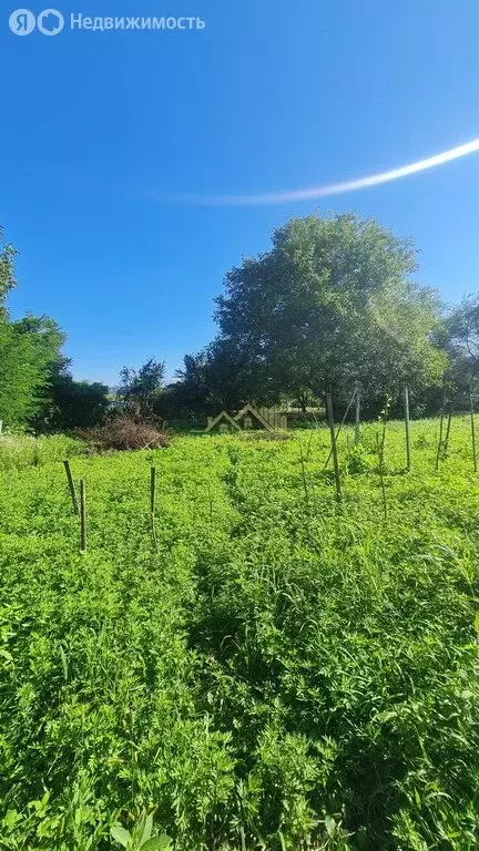 Участок в село Ир, Граничная улица, 6 (15 м) - Фото 1