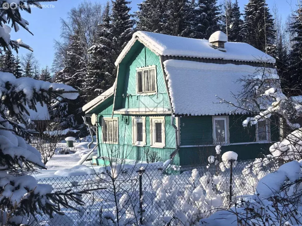 Дом в Мшинское сельское поселение, садоводческий массив Мшинская, ... - Фото 1