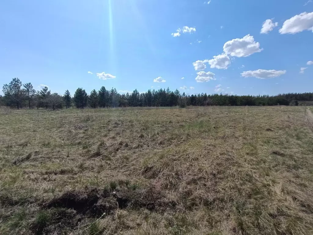 Участок в Самарская область, Красноярский район, Светлое Поле с/пос, ... - Фото 2