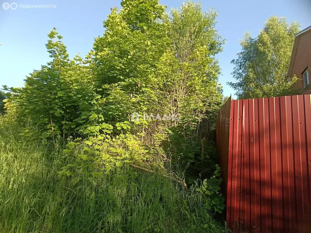 Участок в Московская область, муниципальный округ Луховицы, село ... - Фото 2