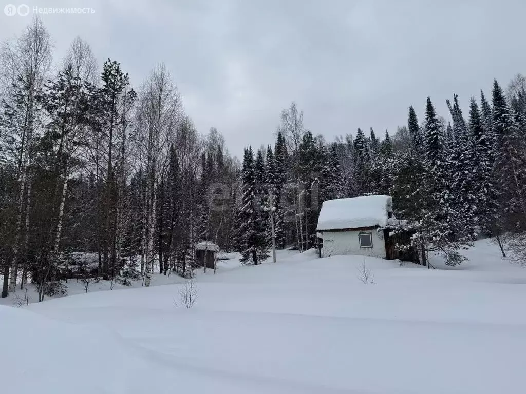 Участок в село Турочак, Цветочная улица (28.63 м) - Фото 1