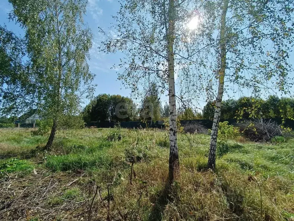 Участок в Смоленская область, Смоленск пос. Миловидово,  (12.5 сот.) - Фото 1