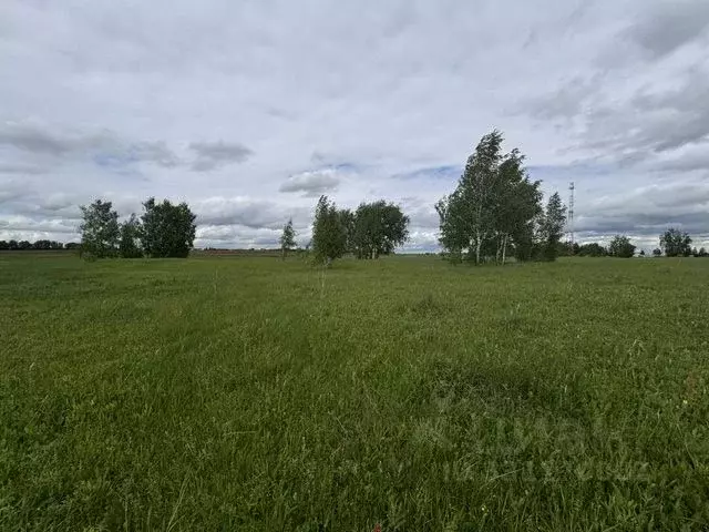 Участок в Московская область, Воскресенск городской округ, д. ... - Фото 2