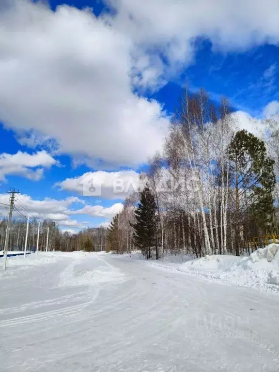 3-к кв. Новосибирская область, Новосибирский район, Мочищенский ... - Фото 0