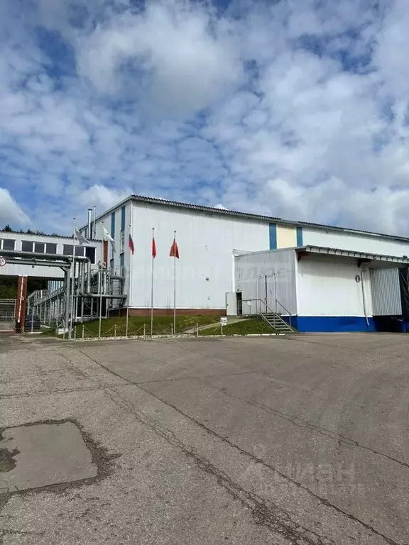 Производственное помещение в Московская область, Наро-Фоминский ... - Фото 1