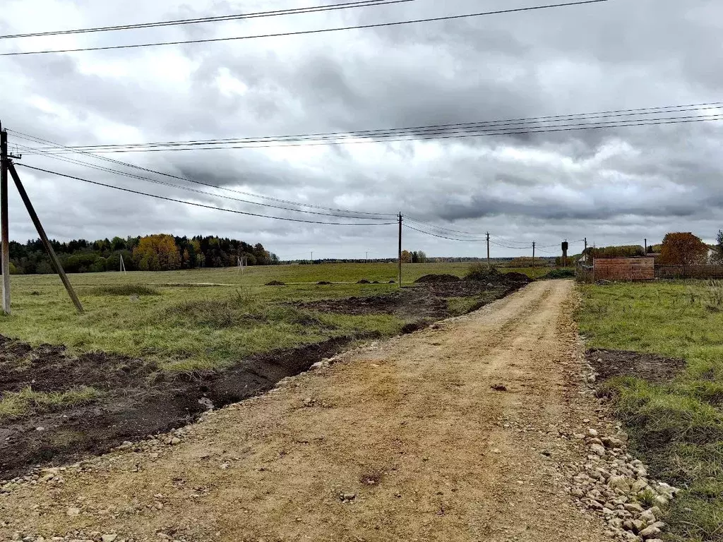 Участок в Ленинградская область, Ломоносовский район, Лопухинское ... - Фото 1