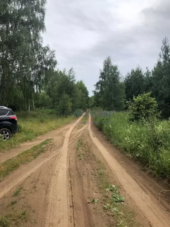 Участок в Нижегородская область, Сокольский городской округ, д. ... - Фото 1