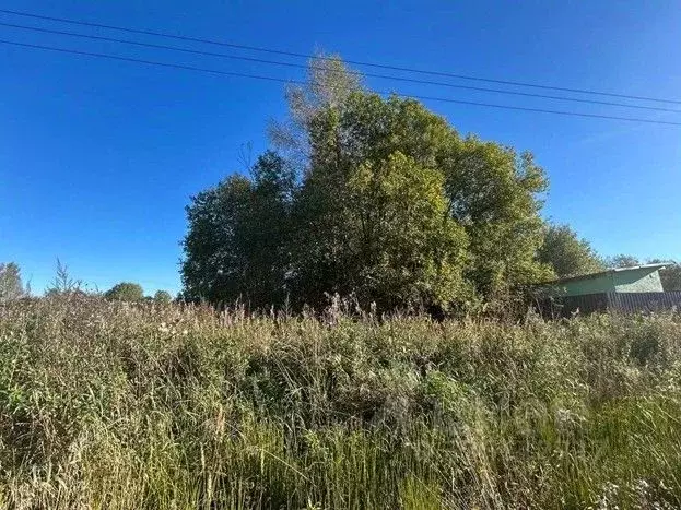 Участок в Московская область, Сергиево-Посадский городской округ, д. ... - Фото 2
