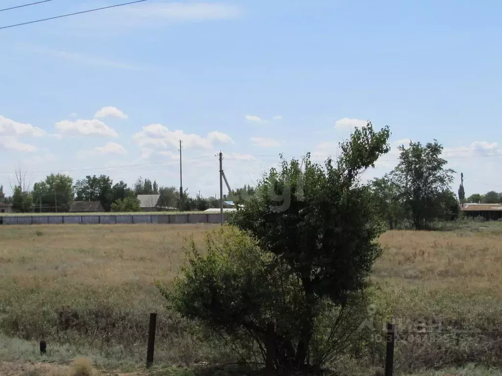 Участок в Волгоградская область, Быковский район, Новоникольское ... - Фото 2