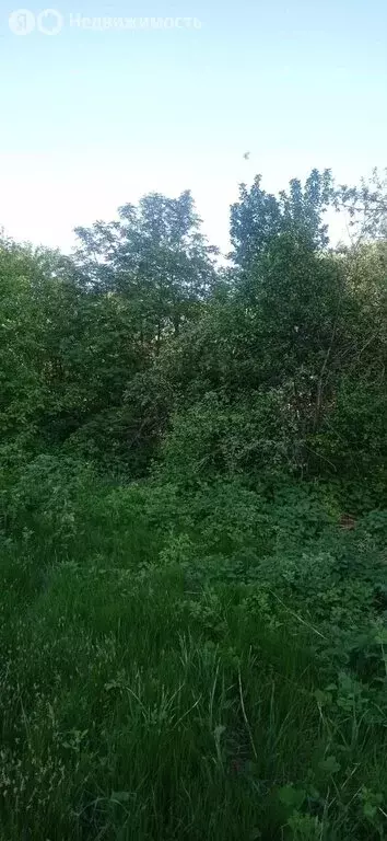 Участок в Дзержинск, СТ Заря-1, 31 (6 м) - Фото 2