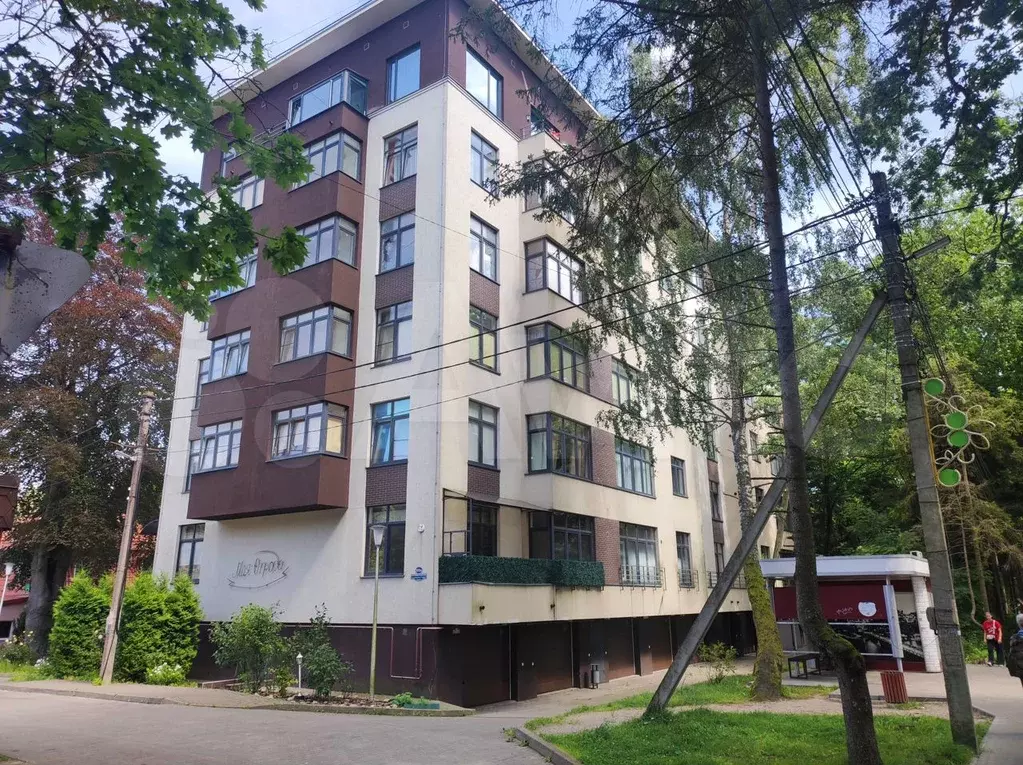 1-к. квартира, 51 м, 3/6 эт. - Фото 0