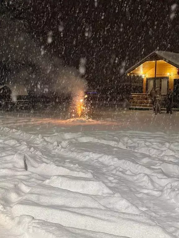 Дом в Карачаево-Черкесия, Теберда Карачаевский городской округ, ул. ... - Фото 1