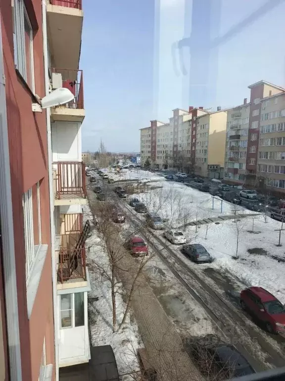 Студия Воронежская область, с. Новая Усмань ул. Ростовская, 4Б/4 (19.5 ... - Фото 2