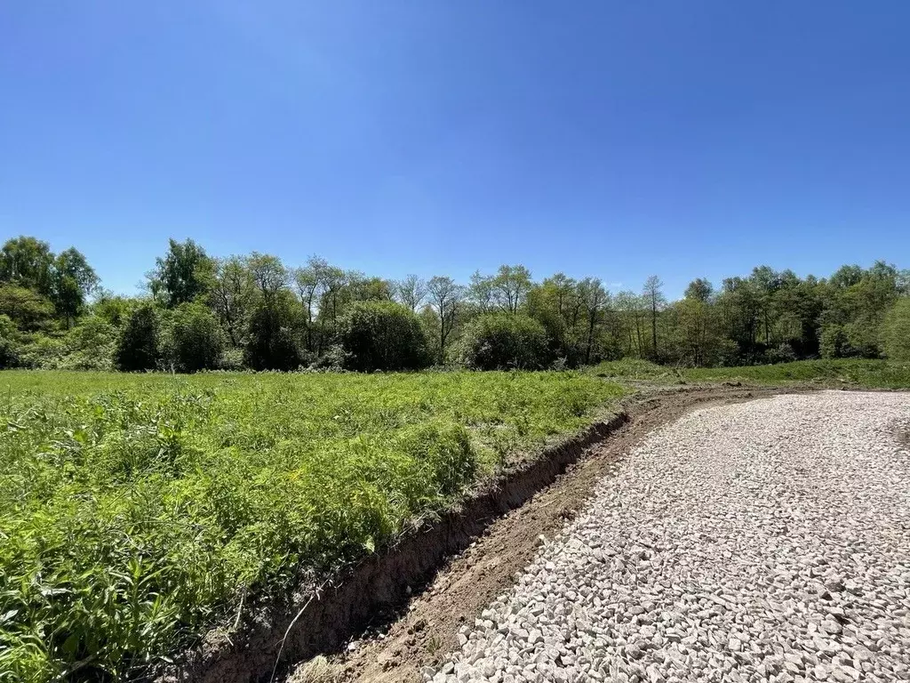 Участок в Тульская область, Заокский район, Демидовское с/пос, с. ... - Фото 1