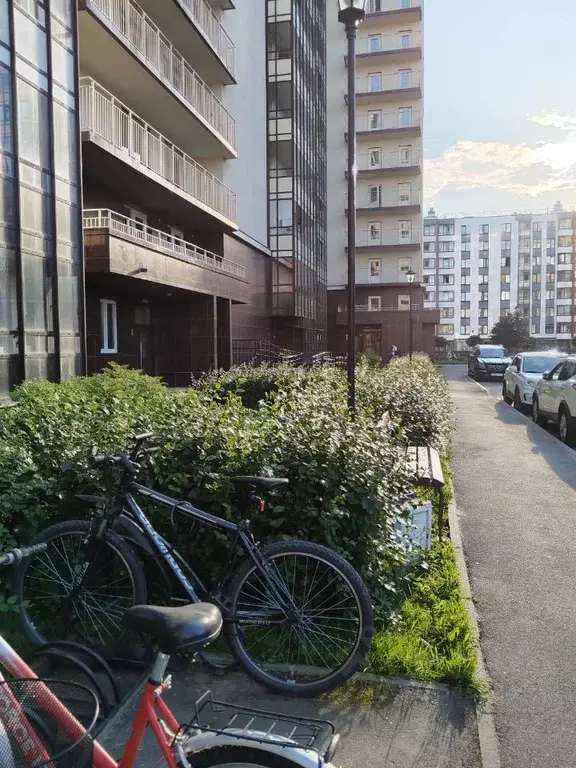 Студия Санкт-Петербург ул. Летчика Лихолетова, 14к4 (24.5 м) - Фото 0