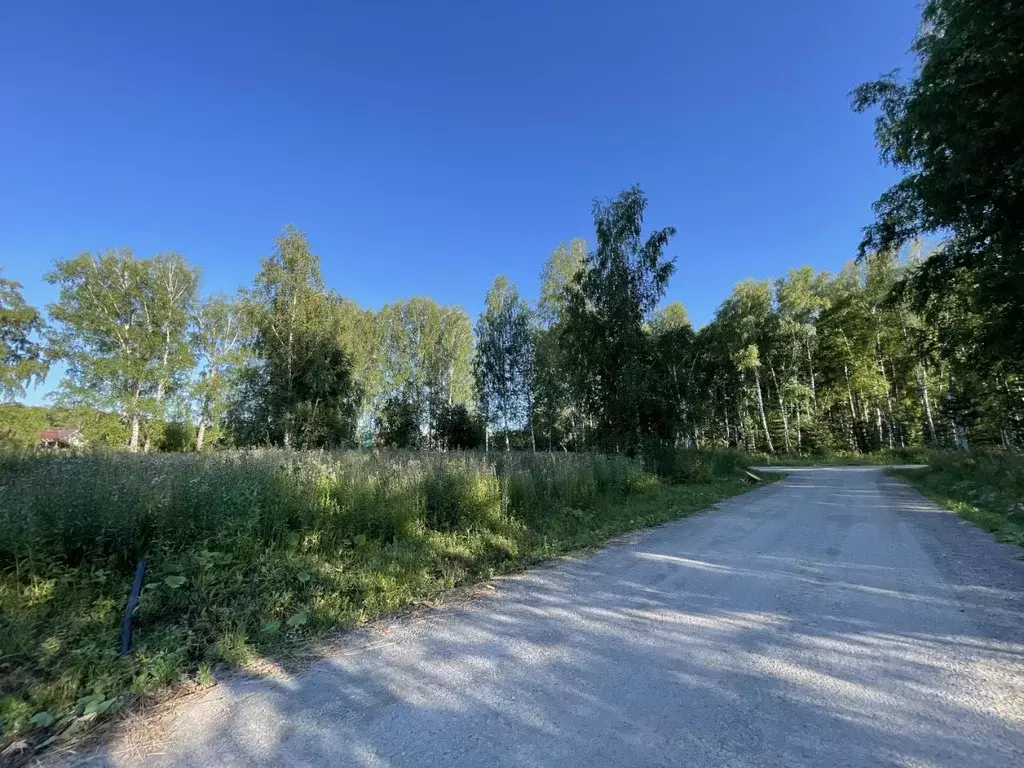 Участок в Новосибирская область, Новосибирский район, Барышевский ... - Фото 1