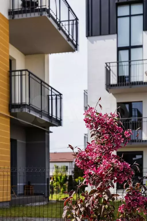 1-к. квартира, 41 м, 4/4 эт. - Фото 1