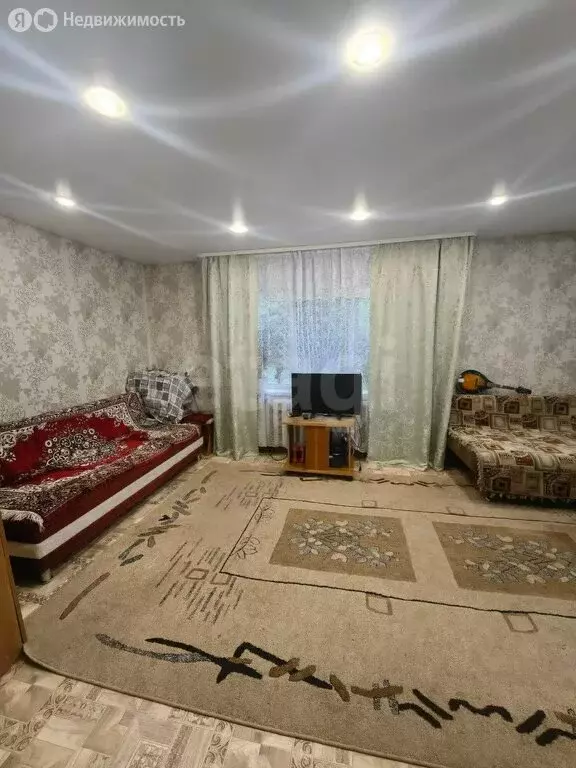 1-комнатная квартира: Усть-Катав, Центральная улица, 34 (31.6 м) - Фото 1