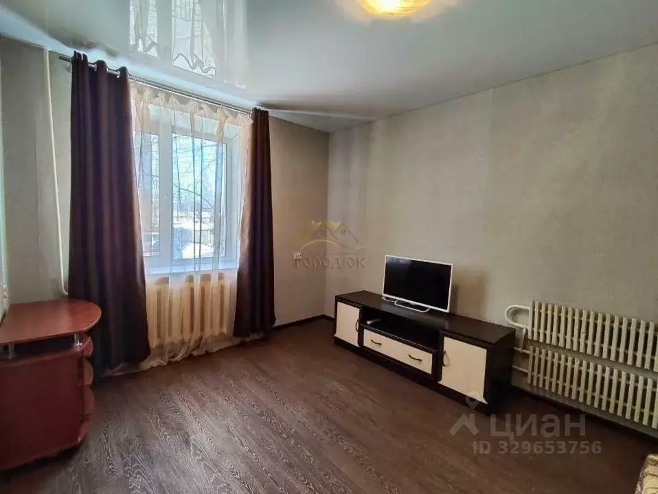 1-к кв. Воронежская область, Борисоглебск ул. Чкалова (26.8 м) - Фото 1