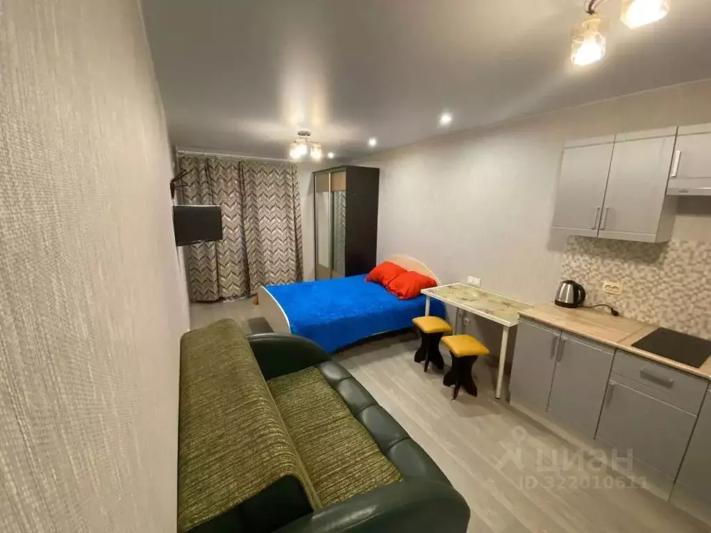 1-к кв. Саратовская область, Саратов Огородная ул., 157 (28.0 м) - Фото 1